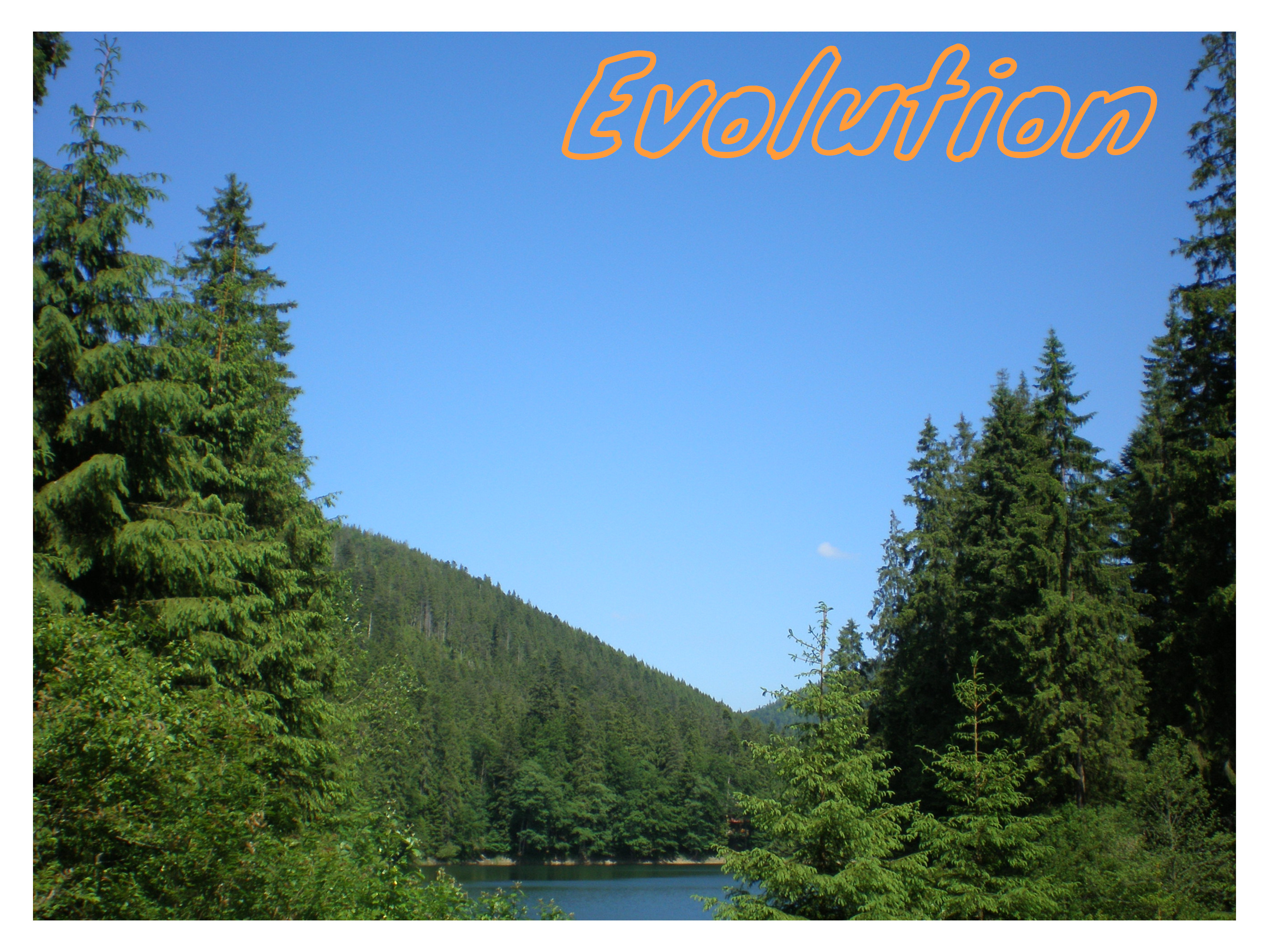 Dfanov - Evolution